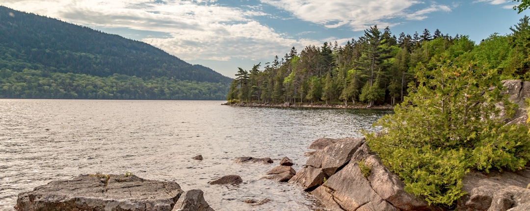 Park Loop Acadia National Park