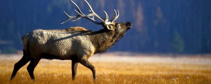 Northern-National-Parks-Road-Trip