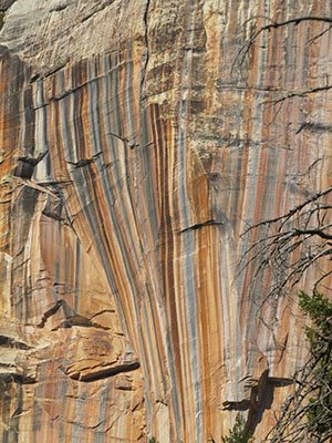 Grand Canyon's North Rim Road Trip